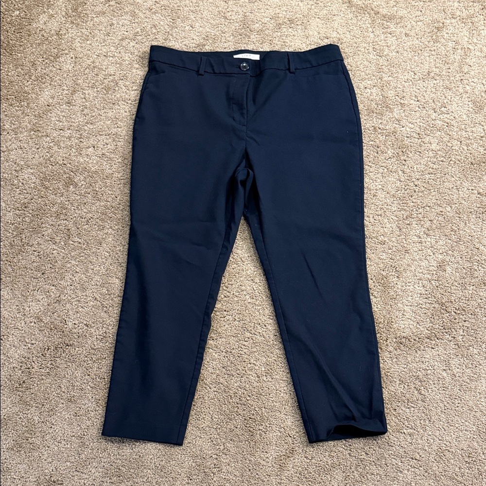 LOFT Sutton Skinny Curvy 14P Navy Pants